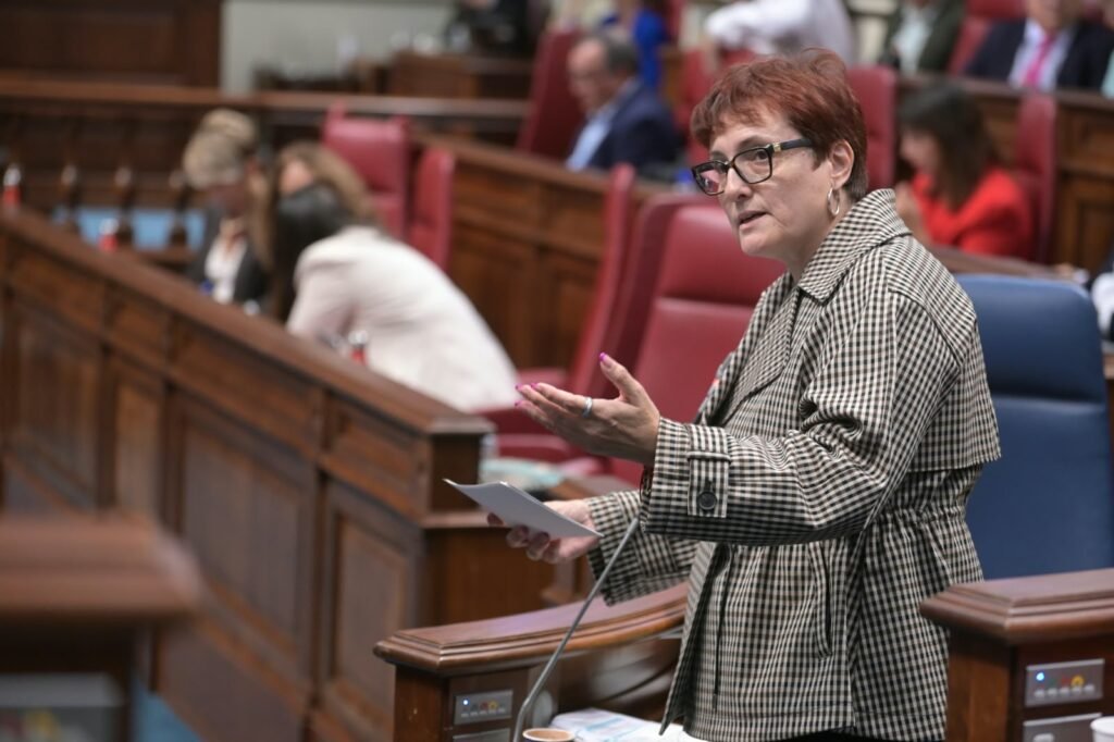 Candelaria Delgado durante su intervención en el Parlamento de Canarias sobre el balance de servicios sociales. Fuente: Gobierno de Canarias.